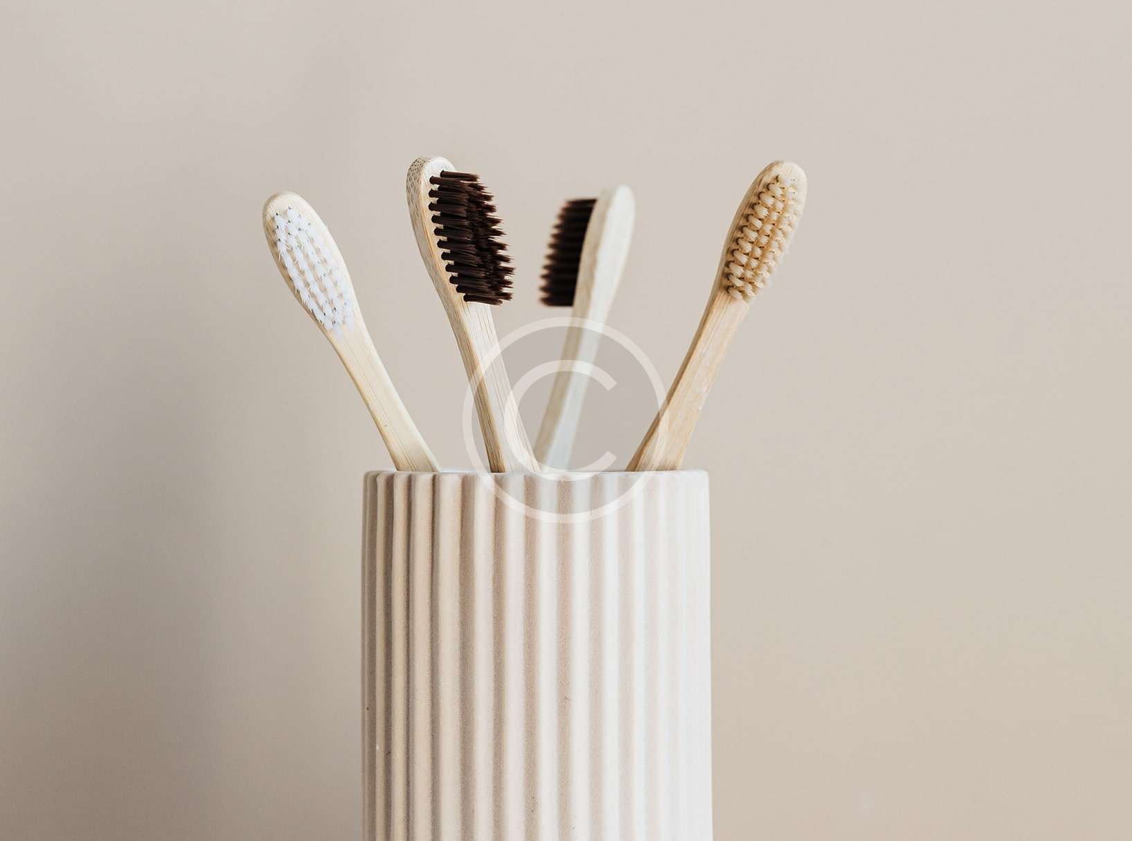 Brush Holder